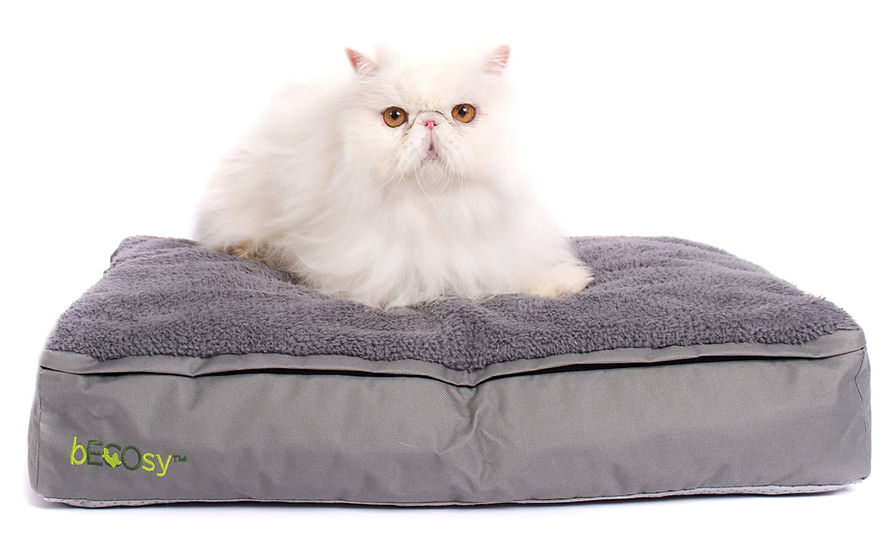 Pet Beds