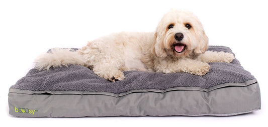 Pet Beds